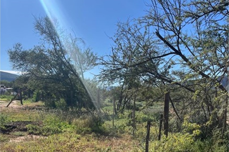 0 Bedroom Property for Sale in Steytlerville Eastern Cape